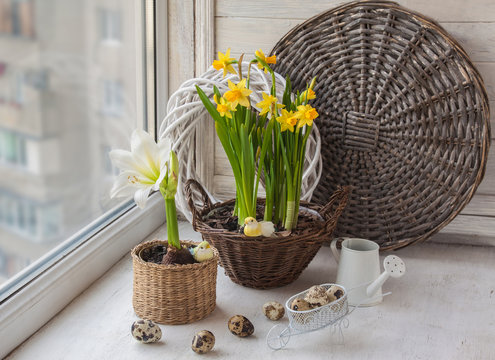Easter window decoration with daffodils  and decorative birds
