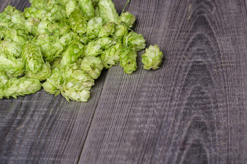 Fresh green hops on a wooden table
