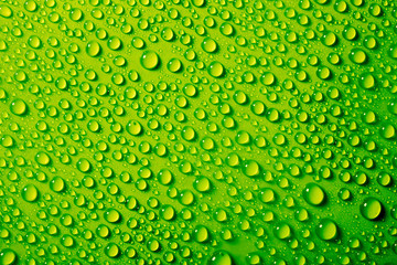 water drops on green background