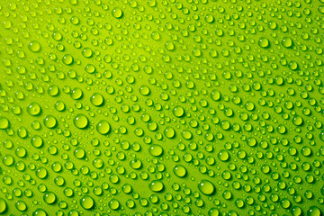 Plakat water drops on green background