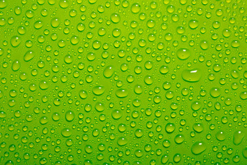 water drops on green background