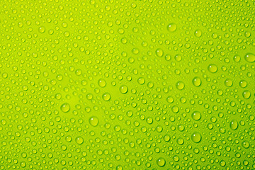 water drops on green background