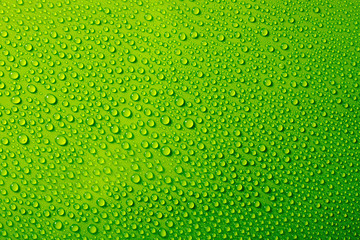 water drops on green background