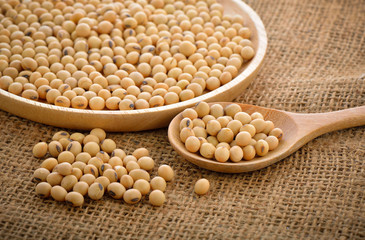 dried soybean on wooden spoon