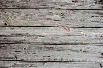 Texture of an old tree on a fence