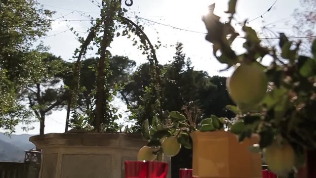 Italian garden summer