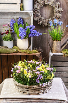 Basket with daffodils, carnations and buxus.