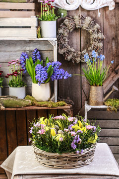 Basket with daffodils, carnations and buxus.