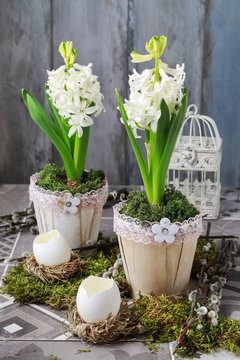 Decoration with white hyacinths