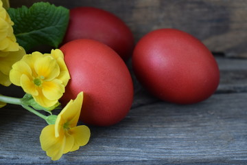 Red Easter eggs with yellow flowers on wooden background