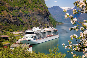 Spring time with cruise ship in fjord, Flam, Norway © Tomas Marek