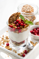 dessert with granola, cranberries and cream, vertical closeup