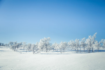 A beautiful landscape of a frozen plains in a snowy Norwegian winter day