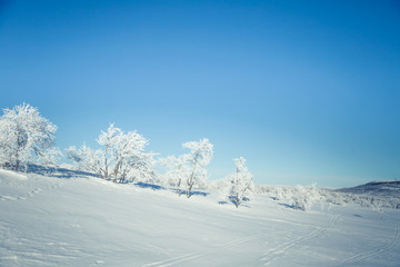 Fototapeta na wymiar A beautiful landscape of a frozen plains in a snowy Norwegian winter day
