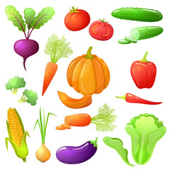 Set of vegetables
