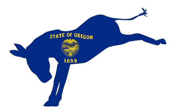 Oregon Democrat Donkey Flag