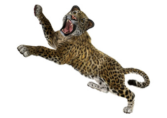 3D Rendering Big Cat Jaguar on White