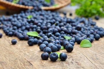 Wild fresh blueberries