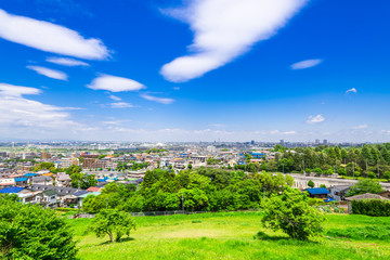 住宅街を見渡す新緑の丘