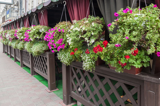 Vases of flowers on the terrace of a street cafe