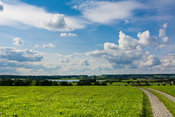 Rohrsee im Wurzacher Becken