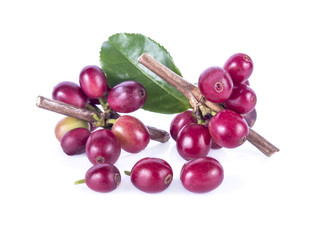Red coffee beans isolated on white background