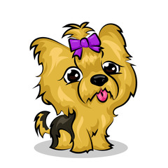 Yorkshire Terrier dog