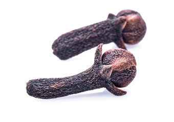 Obraz premium dry cloves on white background