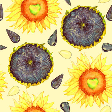 Sunflower blooming, ripe head and seeds, seamless pattern hand painted watercolor illustration (soft yellow)