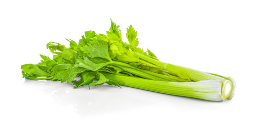 Celery isolated on white background