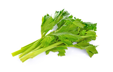 Celery isolated on white background