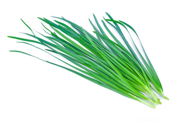 Chinese chives, Garlic chives, Kow Choi