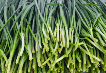 Chinese chives, Garlic chives, Kow Choi