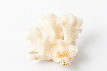 Macro mineral of the ghost of chalcedony against white background