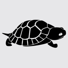 Turtle, reptile, black, cartoon