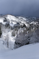雪に埋もれた家屋と山々