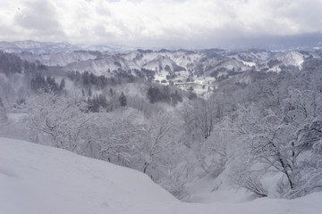 Obraz premium 雪化粧した木々と町並み