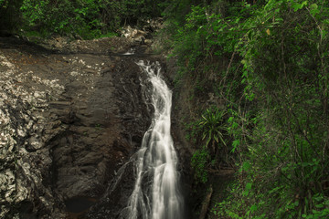 Fototapeta na wymiar Natural Bridge Waterfall at Springbrook in Queensland. 