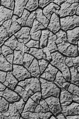 Monochrome cracked dirt background
