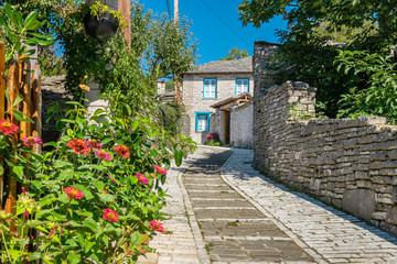 Street in village of Monodendri. Zagoria, Greece