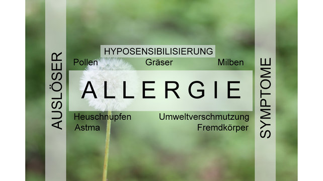 Allergie - Symptome - Ausl&ouml;ser