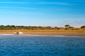 Peaceful landscape with a boat, river, pine trees and blue sky