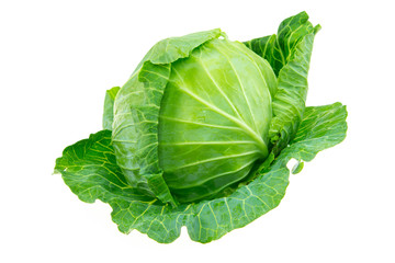 Obraz premium cabbage