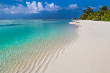 Maldives paradise beach. Perfect tropical island. Beautiful palm trees and tropical beach. Moody...