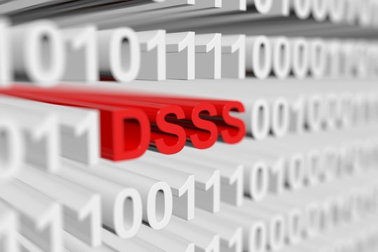 dsss in binary code with blurred background 3D illustration