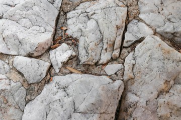 stone texture  background  :Select focus with shallow depth of field.