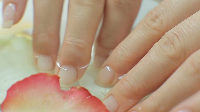 Nail Care. Closeup Of Beautiful Woman Hands With Natural Nails In Beauty Salon. Female Soaking Fingernails In Transparent Glass Bowl Full Of Water Indoors. Spa Manicure Concept. High Resolution