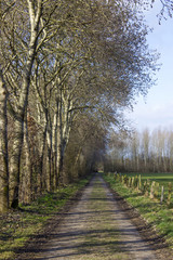 German countryside landscape, Lower Rhine Region