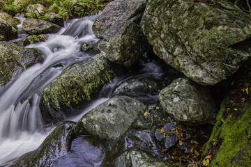 Stoney Creek