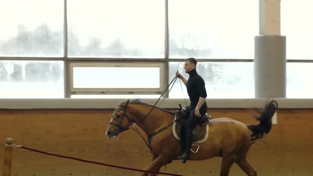A man riding a brown horse around the arena. Man fulfills tricks on horseback. Vaulting. Trick riding. Riding standing on horse.